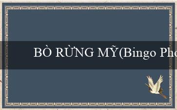 BÒ RỪNG MỸ(Bingo Phong cách Sôi động)