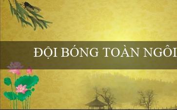 ĐỘI BÓNG TOÀN NGÔI SAO(Luật bảo vệ và sử dụng hợp lý công nghệ thông tin)