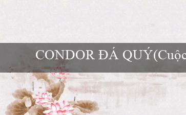 CONDOR ĐÁ QUÝ(Cuộc hành trình đầy điều bất ngờ của Vo88)